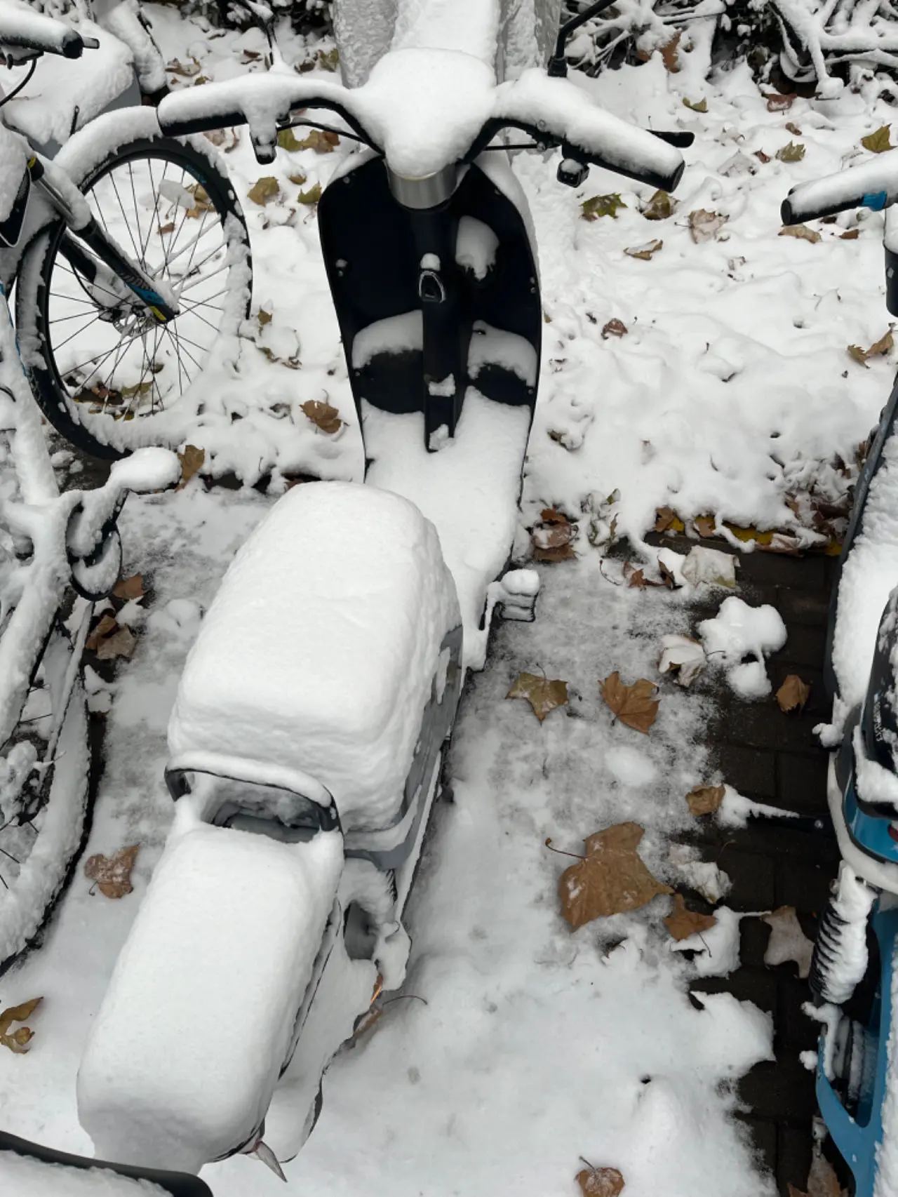 图片[5] - 2023年12月小记（开端） - 云晓晨 KaiQi.Wang