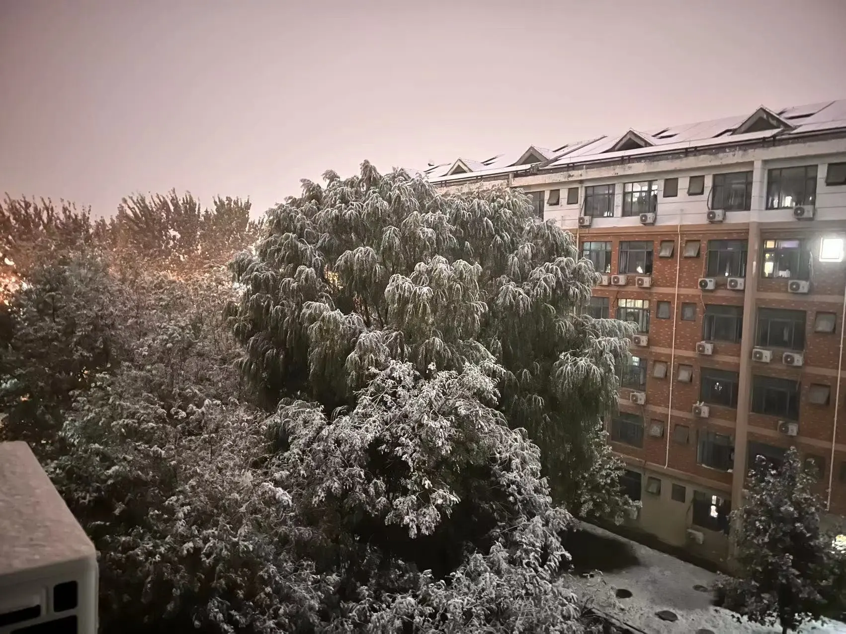 图片[2] - 2023年12月小记（开端） - 云晓晨 KaiQi.Wang