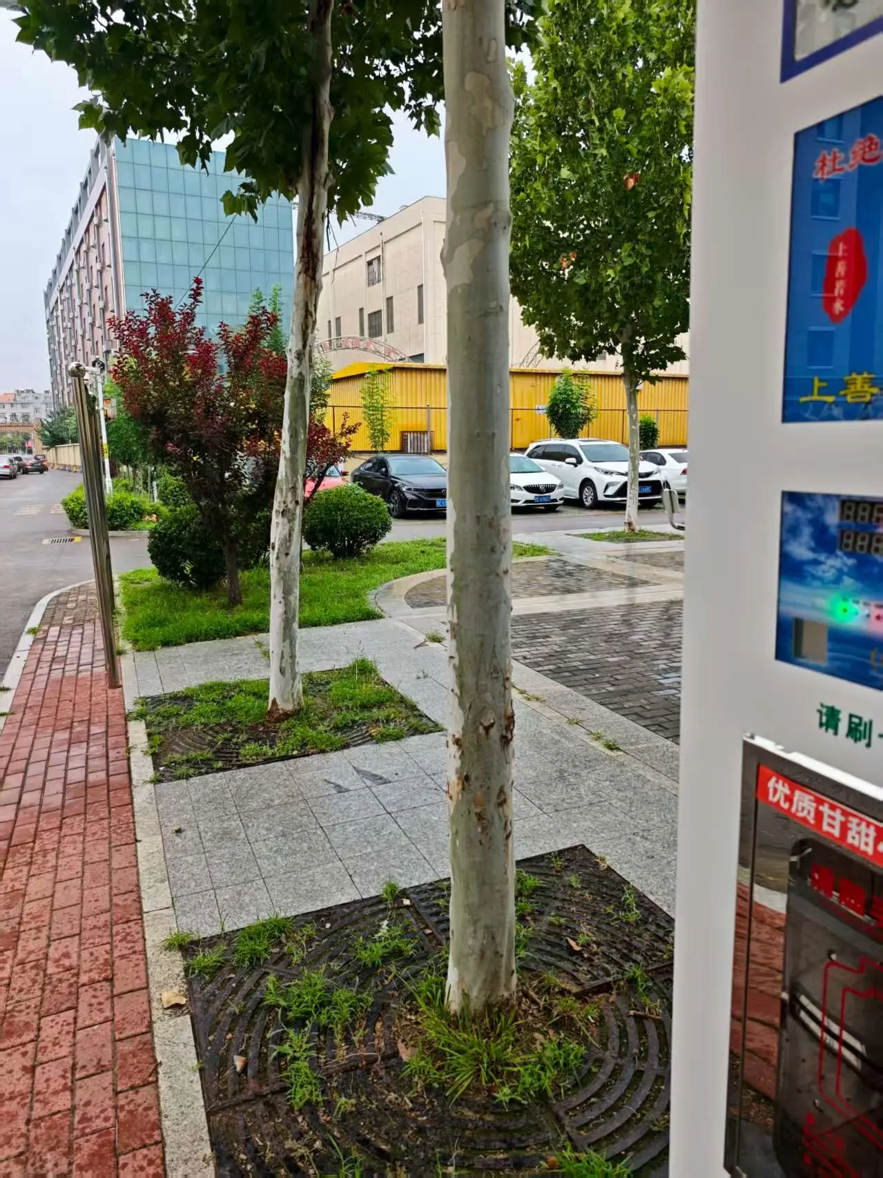 图片[7] - 2025年8月小记 - 云晓晨 KaiQi.Wang