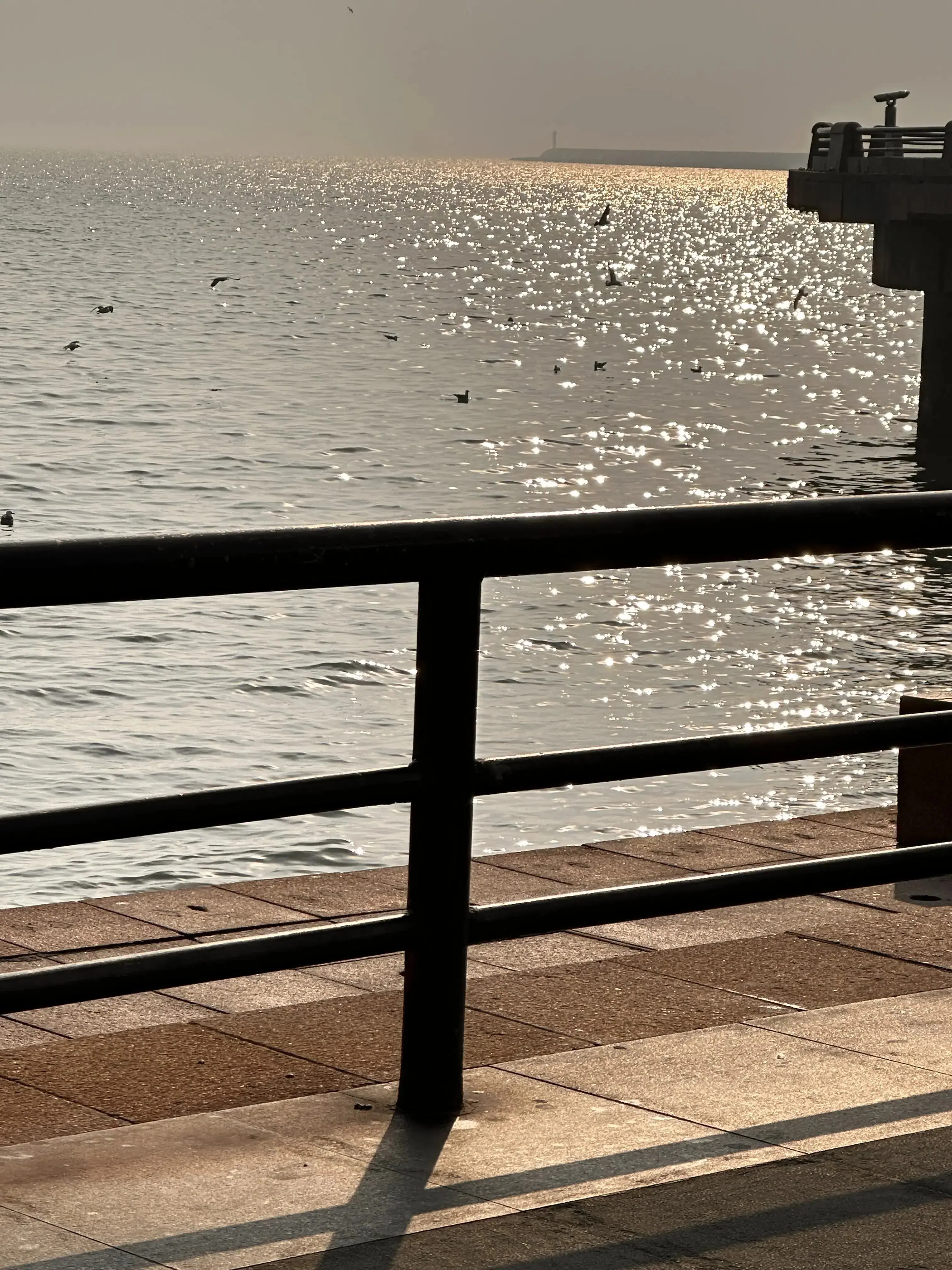 图片[6] - 威海两日游（终章） - 云晓晨 KaiQi.Wang