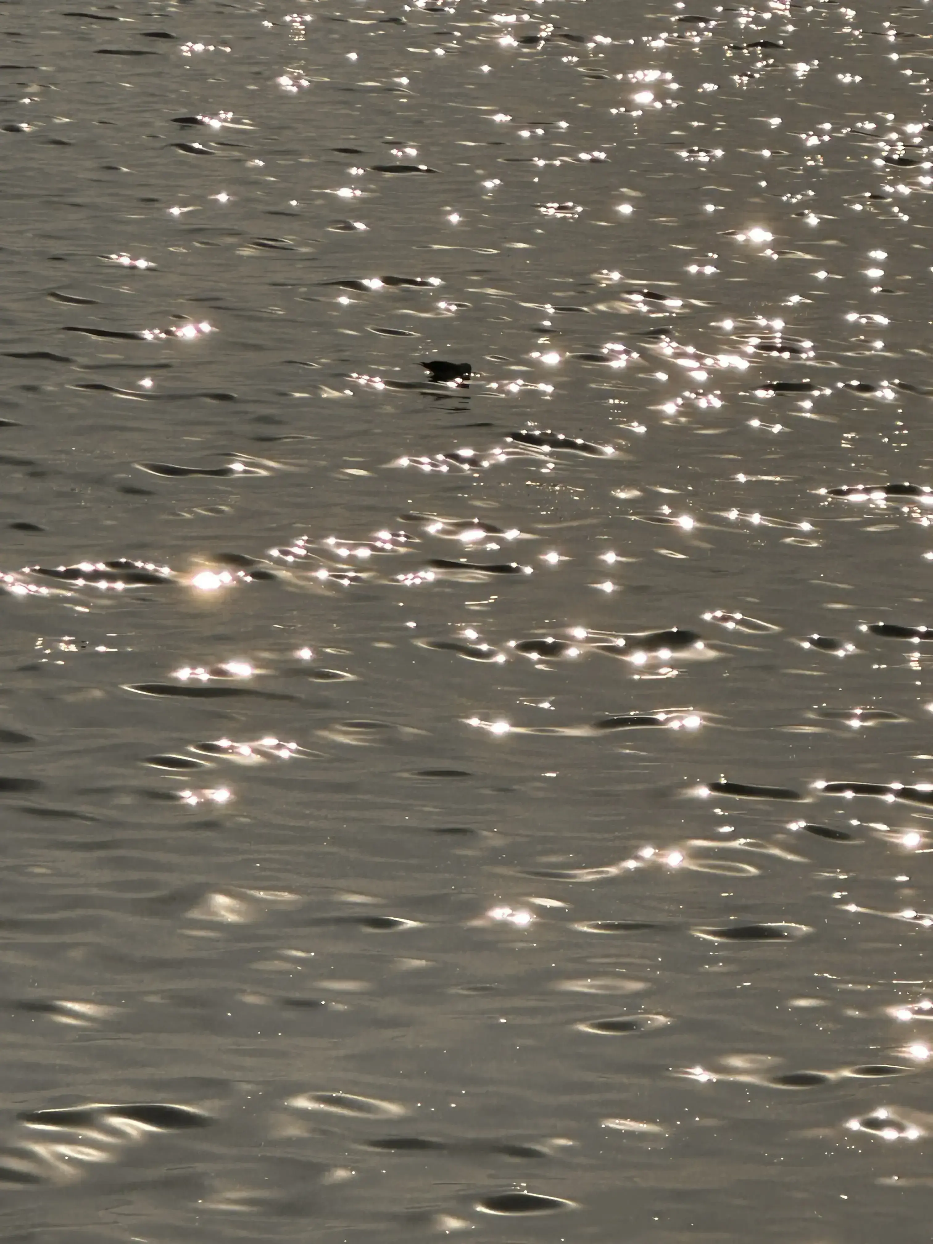 图片[7] - 威海两日游（终章） - 云晓晨 KaiQi.Wang